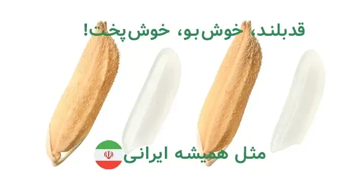 بهترین برنج دانه بلند ایرانی