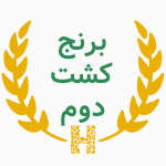برنج کشت‌دوم